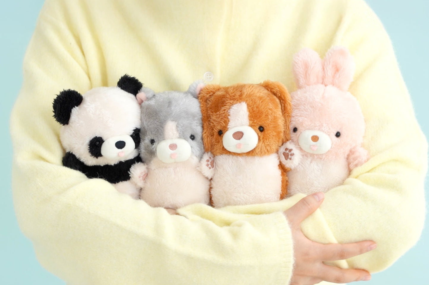 Mugyuuus - Chat (1pcs)