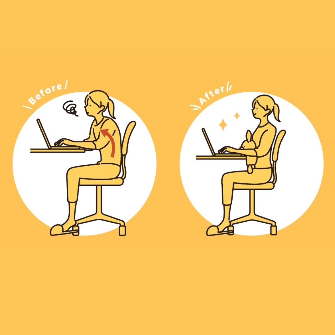 Posture Pal - Baleine - Funbarus