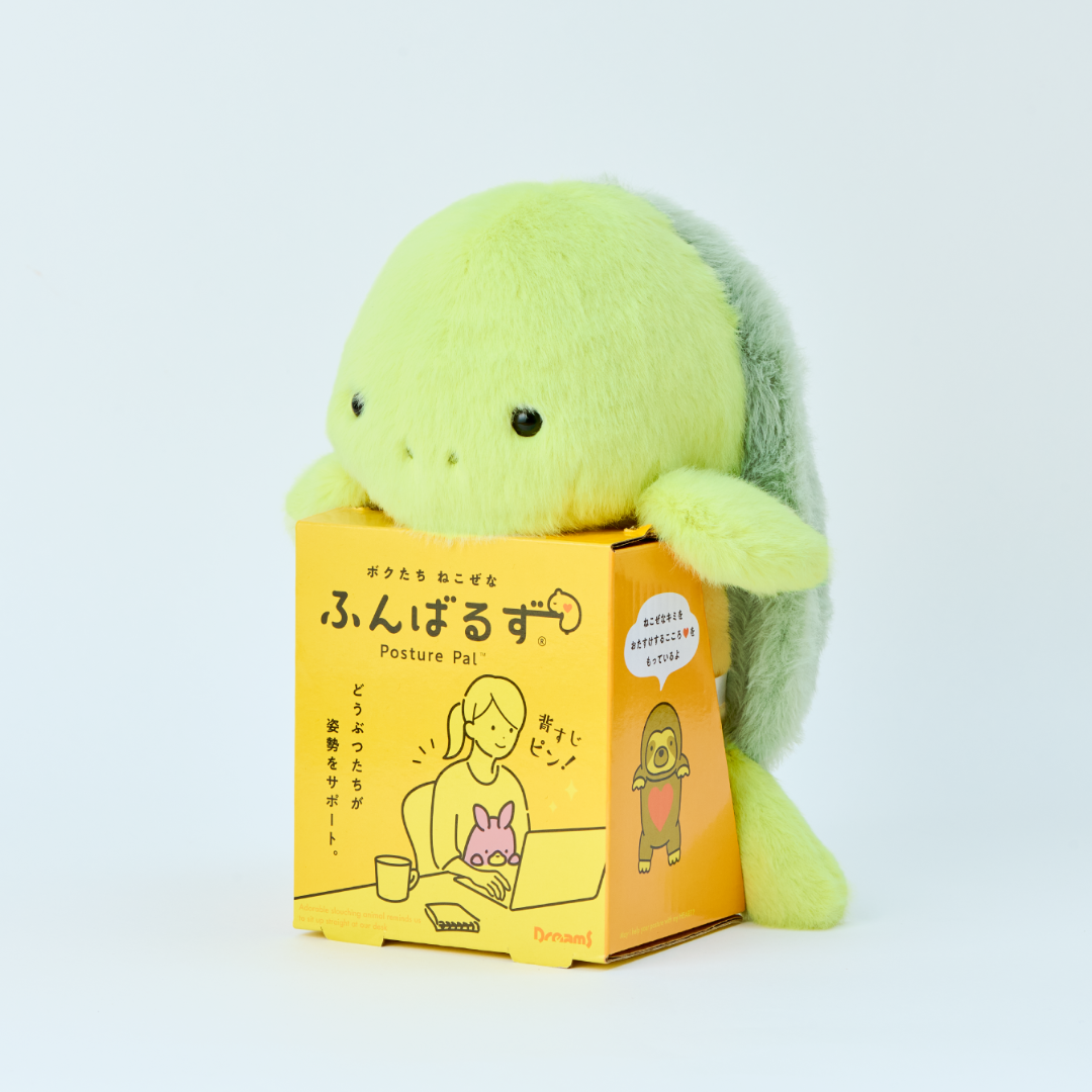 Posture Pal - Tortue - Funbarus
