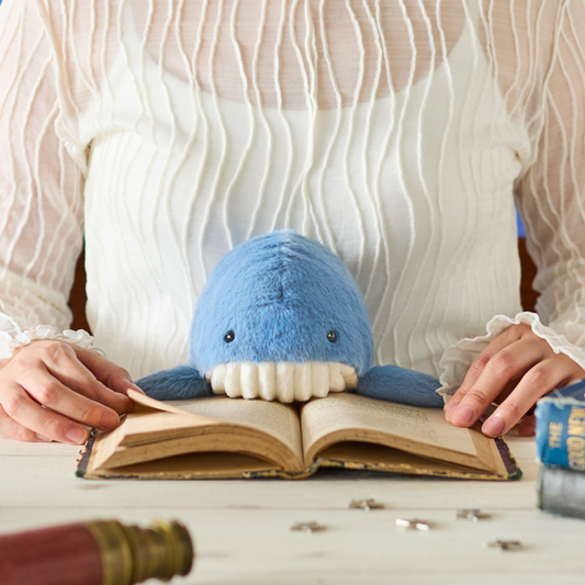 Posture Pal - Baleine - Funbarus